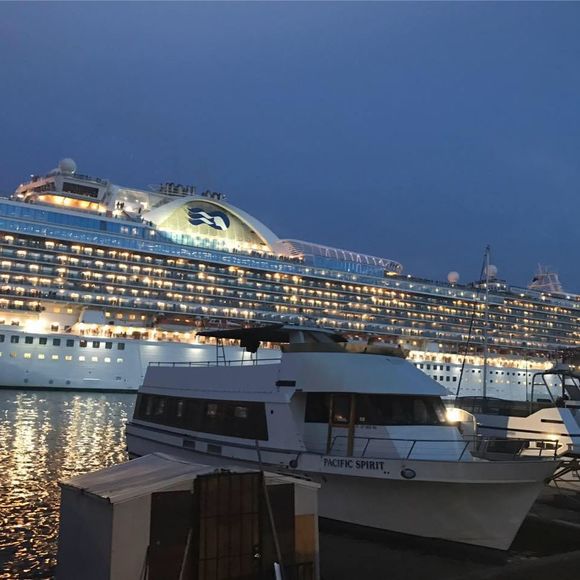 Meet your Posher, Yazmin - Picture 1 of 1